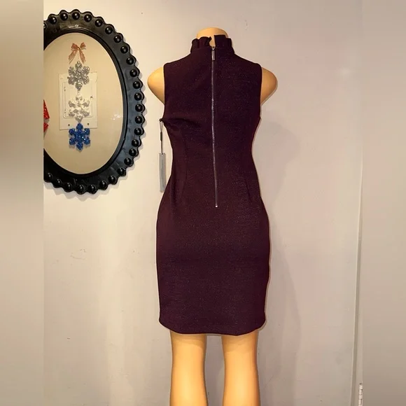 NWT SPARKLY CALVIN KLEIN DRESS SIZE 8P ELEGANT LOOKING WITH NECK SURROUNDING - Picture 10 of 16